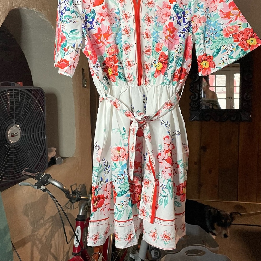 Unknown designer. Cute fit. Never wore. Knee length. Size L (8-10)